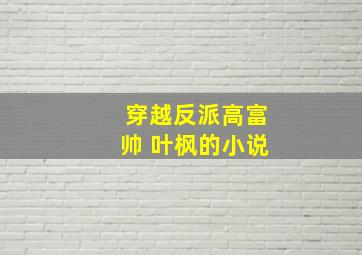 穿越反派高富帅 叶枫的小说